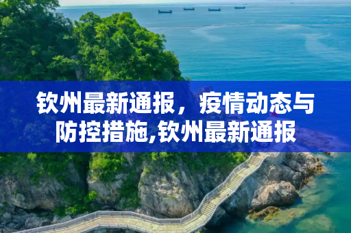 钦州最新通报，疫情动态与防控措施,钦州最新通报