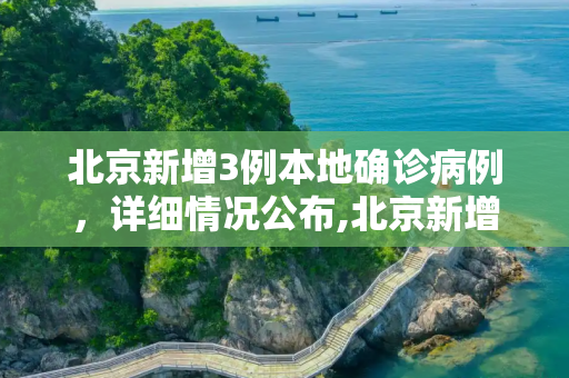 北京新增3例本地确诊病例，详细情况公布,北京新增3例本地确诊 详情公布