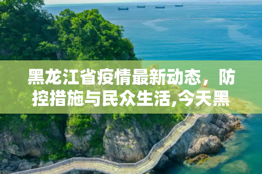 黑龙江省疫情最新动态，防控措施与民众生活,今天黑龙江省最新疫情