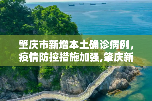 肇庆市新增本土确诊病例，疫情防控措施加强,肇庆新增本土确诊