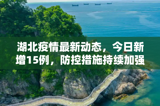 湖北疫情最新动态，今日新增15例，防控措施持续加强,湖北疫情最新消息今天新增了15例