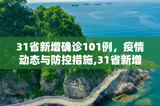 31省新增确诊101例，疫情动态与防控措施,31省新增确诊101例