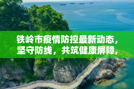 铁岭市疫情防控最新动态，坚守防线，共筑健康屏障,铁岭最新疫情情况