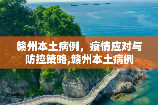 赣州本土病例，疫情应对与防控策略,赣州本土病例