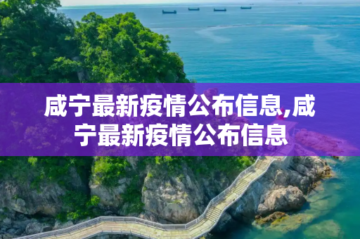 咸宁最新疫情公布信息,咸宁最新疫情公布信息