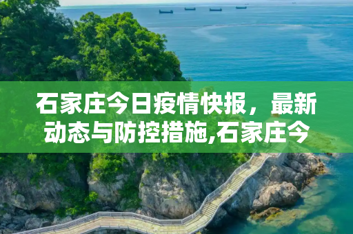 石家庄今日疫情快报，最新动态与防控措施,石家庄今天最新疫情