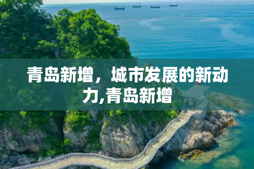 青岛新增，城市发展的新动力,青岛新增