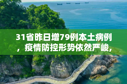 31省昨日增79例本土病例，疫情防控形势依然严峻,31省昨日增79例本土