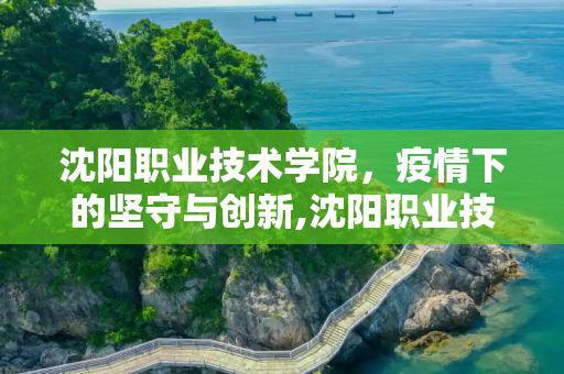 沈阳职业技术学院，疫情下的坚守与创新,沈阳职业技术学院疫情