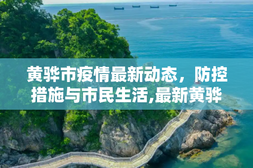 黄骅市疫情最新动态，防控措施与市民生活,最新黄骅疫情消息