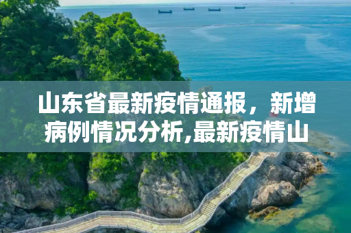 山东省最新疫情通报，新增病例情况分析,最新疫情山东新增病历