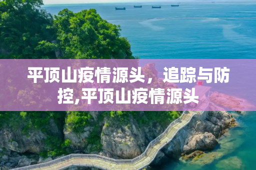 平顶山疫情源头，追踪与防控,平顶山疫情源头