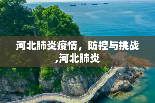河北肺炎疫情，防控与挑战,河北肺炎