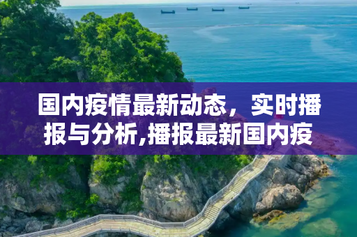 国内疫情最新动态，实时播报与分析,播报最新国内疫情:播报国内最新疫情情况
