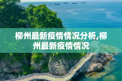 柳州最新疫情情况分析,柳州最新疫情情况