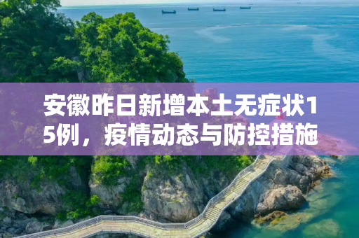 安徽昨日新增本土无症状15例，疫情动态与防控措施,安徽昨日新增本土无症状15例