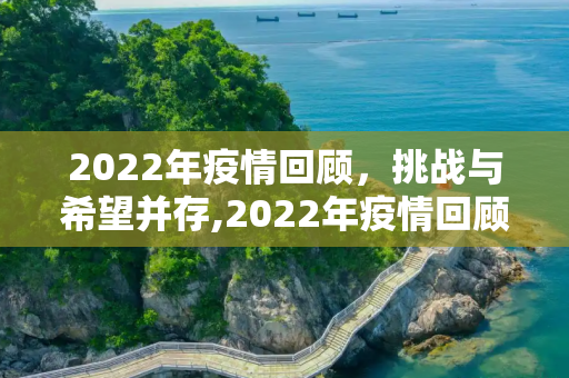 2022年疫情回顾，挑战与希望并存,2022年疫情回顾