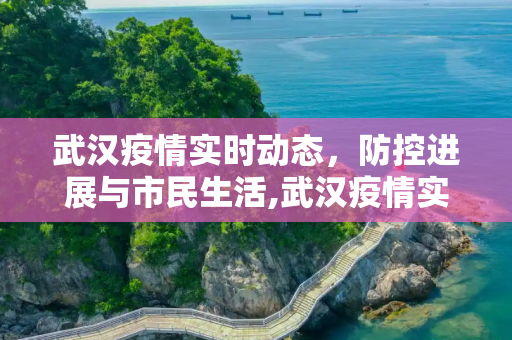 武汉疫情实时动态，防控进展与市民生活,武汉疫情实时动态