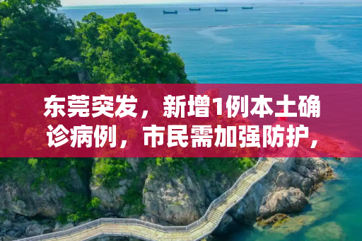 东莞突发，新增1例本土确诊病例，市民需加强防护,东莞新增1例本土确诊