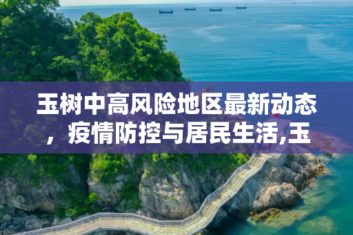 玉树中高风险地区最新动态，疫情防控与居民生活,玉树中高风险地区最新