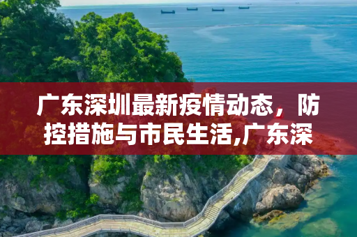 广东深圳最新疫情动态，防控措施与市民生活,广东深圳最新疫情