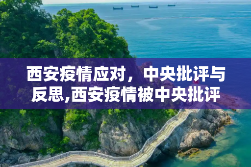西安疫情应对，中央批评与反思,西安疫情被中央批评