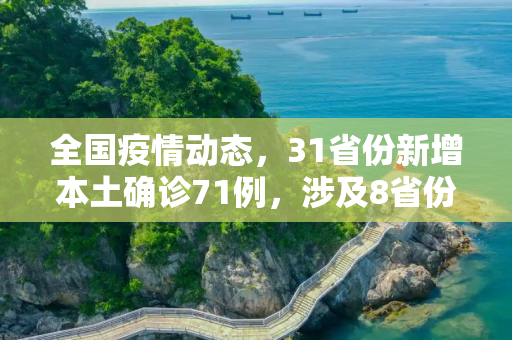 全国疫情动态，31省份新增本土确诊71例，涉及8省份的防控挑战,31省份新增本土确诊71例涉8省份