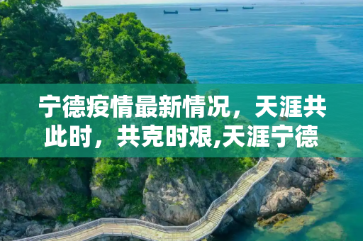 宁德疫情最新情况，天涯共此时，共克时艰,天涯宁德疫情最新情况