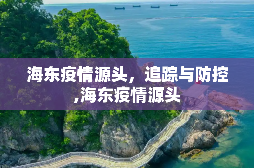海东疫情源头，追踪与防控,海东疫情源头
