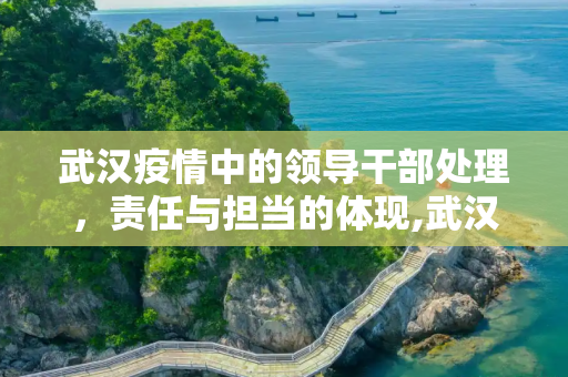 武汉疫情中的领导干部处理，责任与担当的体现,武汉疫情领导干部处理