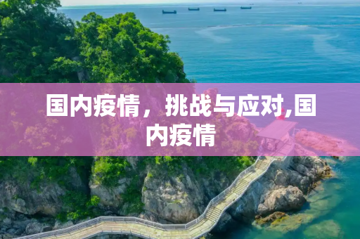 国内疫情，挑战与应对,国内疫情