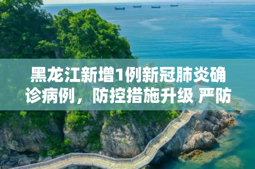 黑龙江新增1例新冠肺炎确诊病例，防控措施升级 严防疫情扩散,黑龙江新增1例新冠肺炎确诊病例