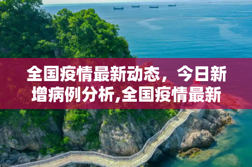 全国疫情最新动态，今日新增病例分析,全国疫情最新消息今天新增