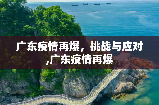广东疫情再爆，挑战与应对,广东疫情再爆