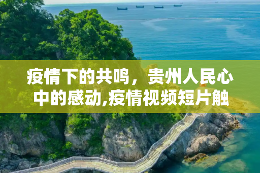 疫情下的共鸣，贵州人民心中的感动,疫情视频短片触动贵州人心
