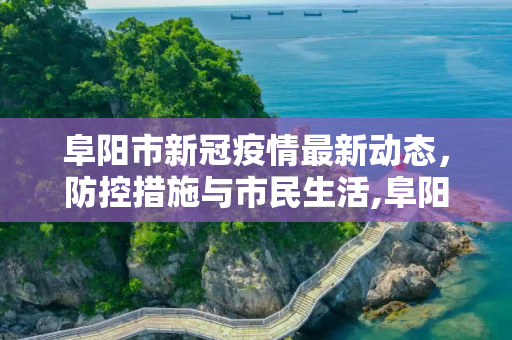 阜阳市新冠疫情最新动态，防控措施与市民生活,阜阳新冠疫情最新消息