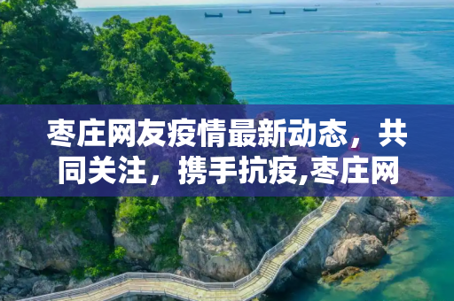 枣庄网友疫情最新动态，共同关注，携手抗疫,枣庄网友疫情最新