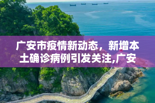 广安市疫情新动态，新增本土确诊病例引发关注,广安新增本土确诊