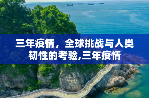 三年疫情，全球挑战与人类韧性的考验,三年疫情