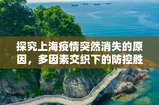 探究上海疫情突然消失的原因，多因素交织下的防控胜利,上海疫情突然消失的原因
