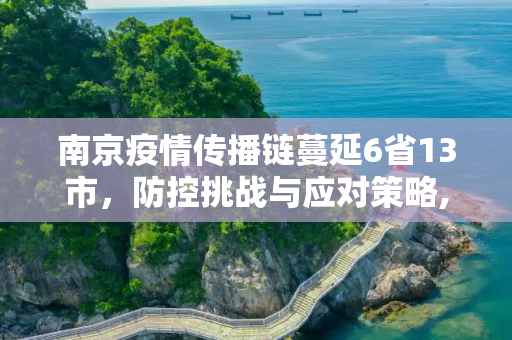 南京疫情传播链蔓延6省13市，防控挑战与应对策略,南京疫情传播链蔓延6省13市