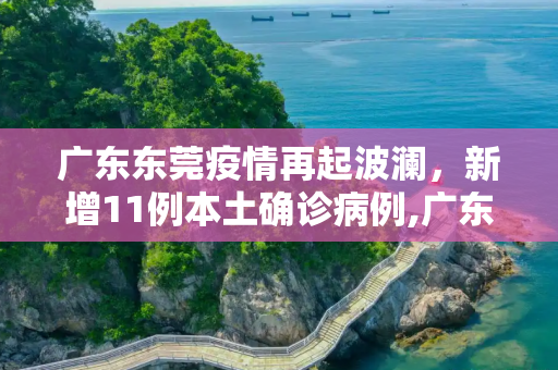 广东东莞疫情再起波澜，新增11例本土确诊病例,广东东莞新增11例本土确诊