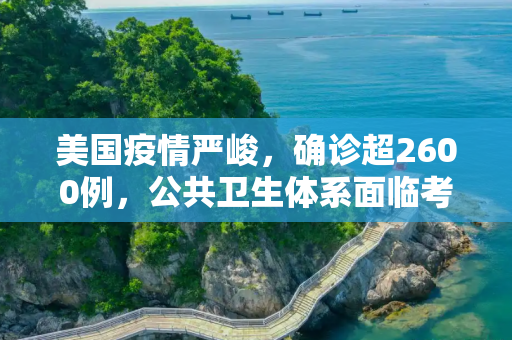 美国疫情严峻，确诊超2600例，公共卫生体系面临考验,美国确诊超2600例