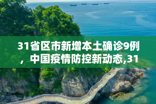 31省区市新增本土确诊9例，中国疫情防控新动态,31省区市新增本土确诊9例