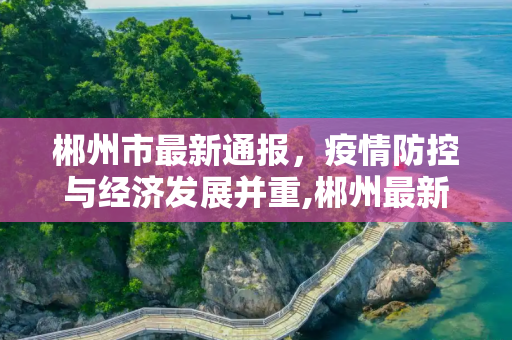 郴州市最新通报，疫情防控与经济发展并重,郴州最新通报