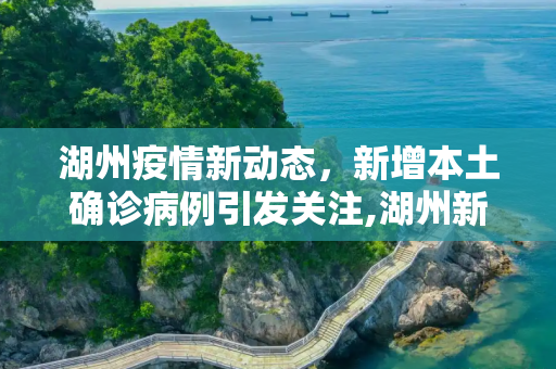 湖州疫情新动态，新增本土确诊病例引发关注,湖州新增本土确诊