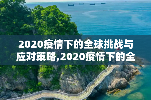 2020疫情下的全球挑战与应对策略,2020疫情下的全球挑战与应对策略