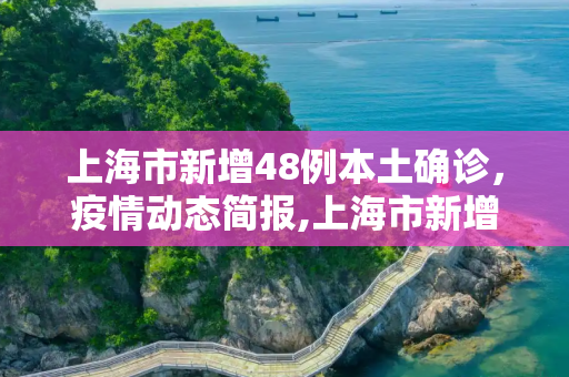 上海市新增48例本土确诊，疫情动态简报,上海市新增48例本土确诊的简单介绍