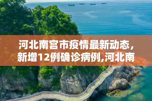 河北南宫市疫情最新动态，新增12例确诊病例,河北南宫市新增12例确诊