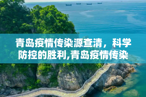 青岛疫情传染源查清，科学防控的胜利,青岛疫情传染源查清
